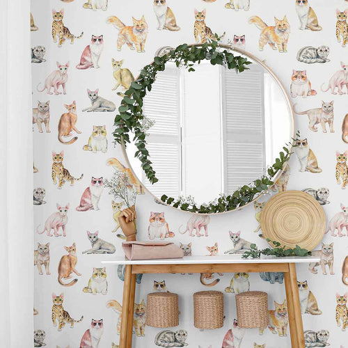 Orange Cat Peel and Stick Removable Wallpaper 6942