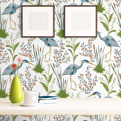 Blue Bird Animal Wallpaper 9623