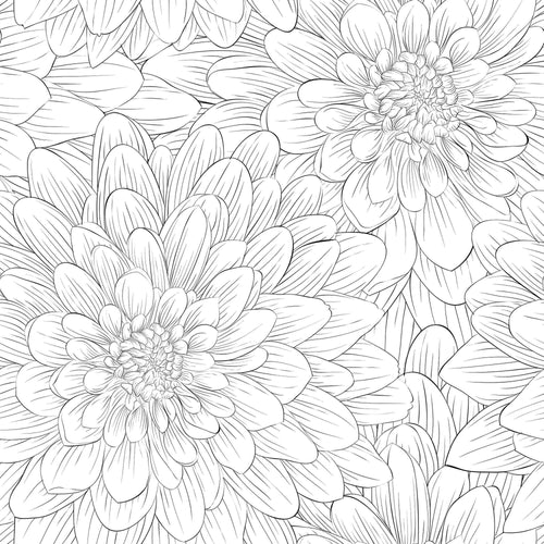Black and White Flowers Peel and Stick Removable Wallpaper 7927