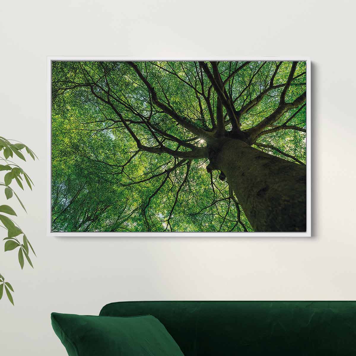Green Tree Wall Art Canvas 6470 Walls By Me