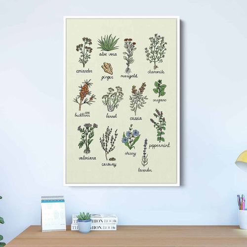 Green Vintage Herbs Wall Art Canvas 7892