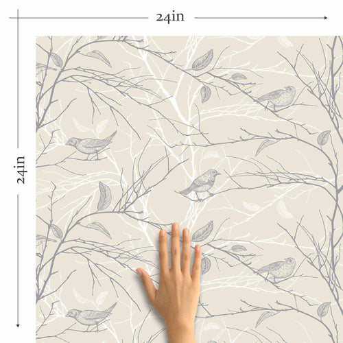 Graceful line drawings of birds and branches removable wallpaper
