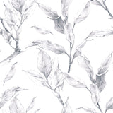 Wallpaper Sample for Living Room Floral Theme Designer Selection 001