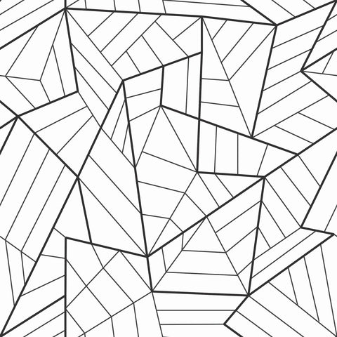 Black and White Lines Geometric Removable Wallpaper 5811| Walls By Me