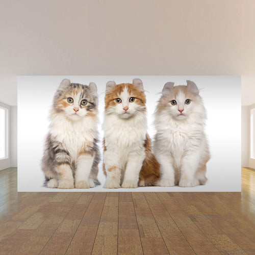 Green and Yellow Cats Peel and Stick Removable Wall Mural 5045