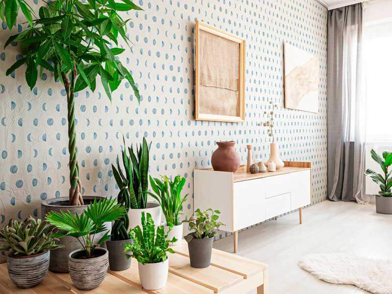 Natural wall decor: your home more comfortable