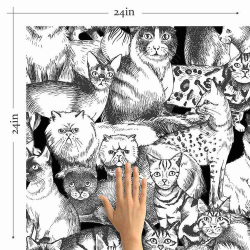 Grey Cat Peel and Stick Removable Wallpaper 5596