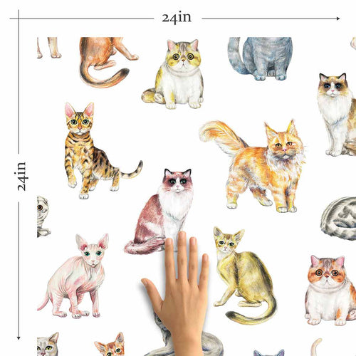 Orange Cat Peel and Stick Removable Wallpaper 6942
