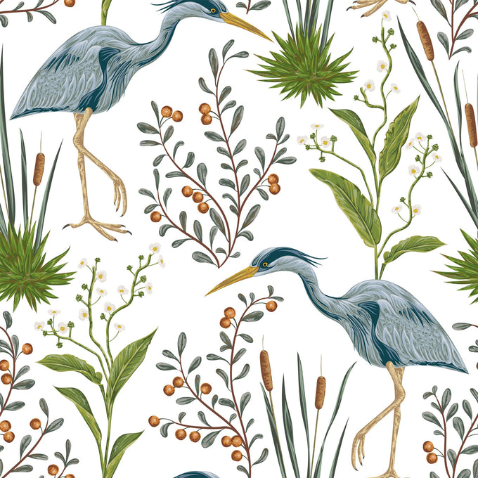 Blue Bird Animal Wallpaper 9623