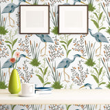 Blue Bird Animal Wallpaper 9623