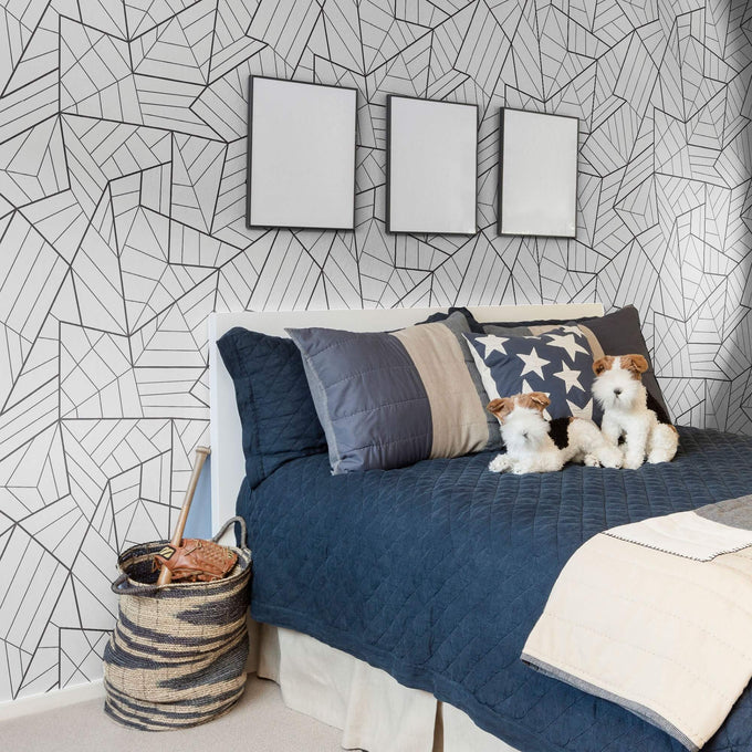 Black and White Lines Geometric Peel and Stick Removable Wallpaper 5811