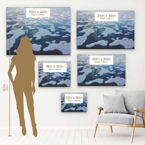 Blue Arctic Wall Art Canvas 0132