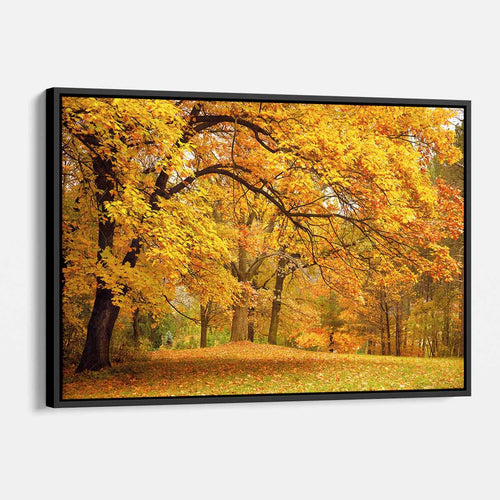Yellow Autumn Wall Art Canvas 2835