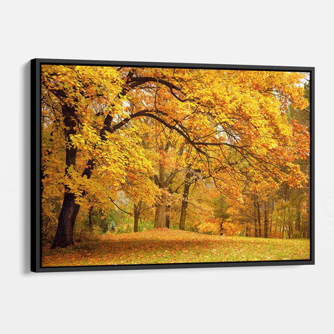 Yellow Autumn Wall Art Canvas 2835