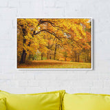 Yellow Autumn Wall Art Canvas 2835