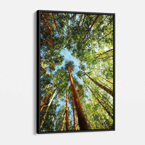 Green Big Trees Wall Art Canvas 8903