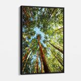 Green Big Trees Wall Art Canvas 8903