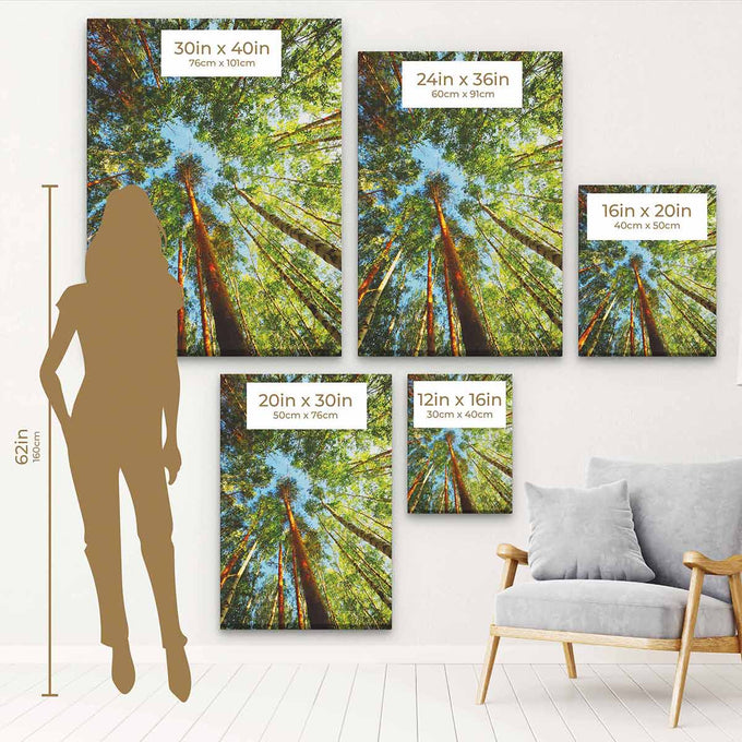 Green Big Trees Wall Art Canvas 8903