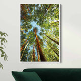 Green Big Trees Wall Art Canvas 8903