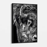 Black Bison Wall Art Canvas 9816