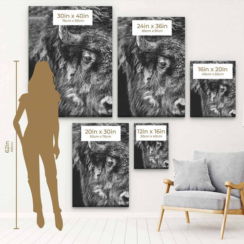 Black Bison Wall Art Canvas 9816