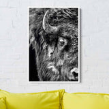 Black Bison Wall Art Canvas 9816