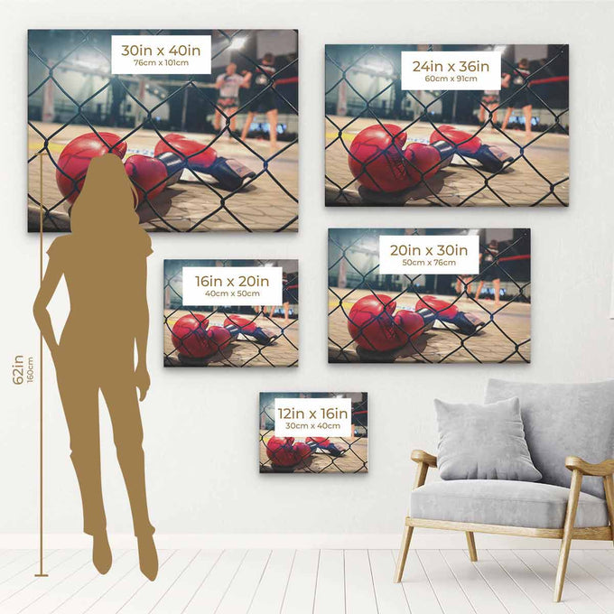 Red Boxing Wall Art Canvas 5970