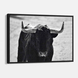 Black Bull Wall Art Canvas 9696