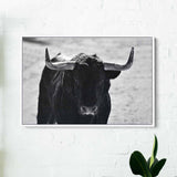 Black Bull Wall Art Canvas 9696