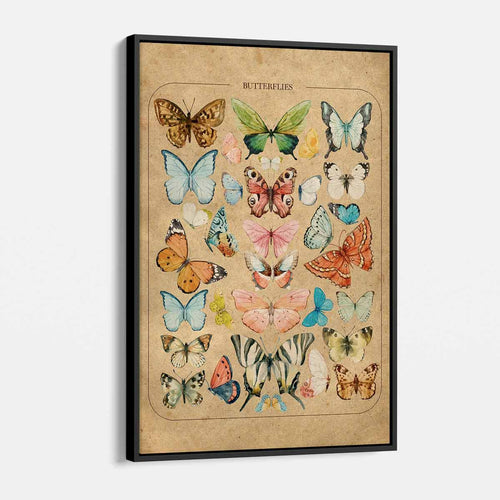 Brown Butterflies Wall Art Canvas 1151