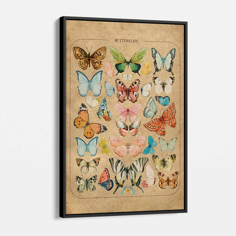 Brown Butterflies Wall Art Canvas 1151