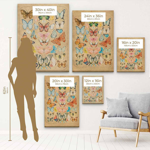 Brown Butterflies Wall Art Canvas 1151