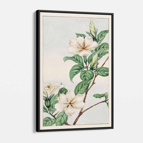 White Cape Jasmine Wall Art Canvas 4552