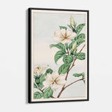 White Cape Jasmine Wall Art Canvas 4552