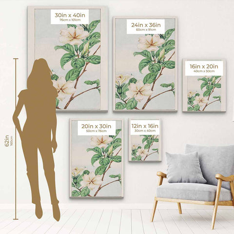 White Cape Jasmine Wall Art Canvas 4552