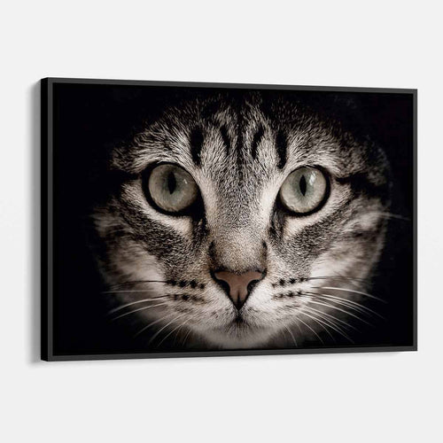 Black Cat Wall Art Canvas 2195