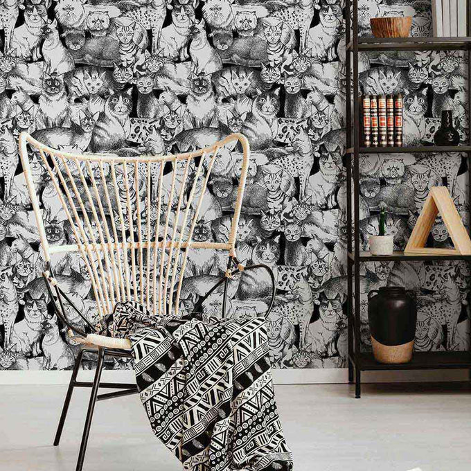 Grey Cat Peel and Stick Removable Wallpaper 5596 | Walls By Me