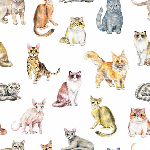 Cuteness, quirks, effortless elegance – it’s hard to pick a favorite reason to love your cat! This unique peel and stick wallpaper celebrates all kinds of feline fabulousness. From adorable munchkins to elegant Siamese cats, find them all in this beautiful print that carries oodles of whimsy and a touch of vintage charm.