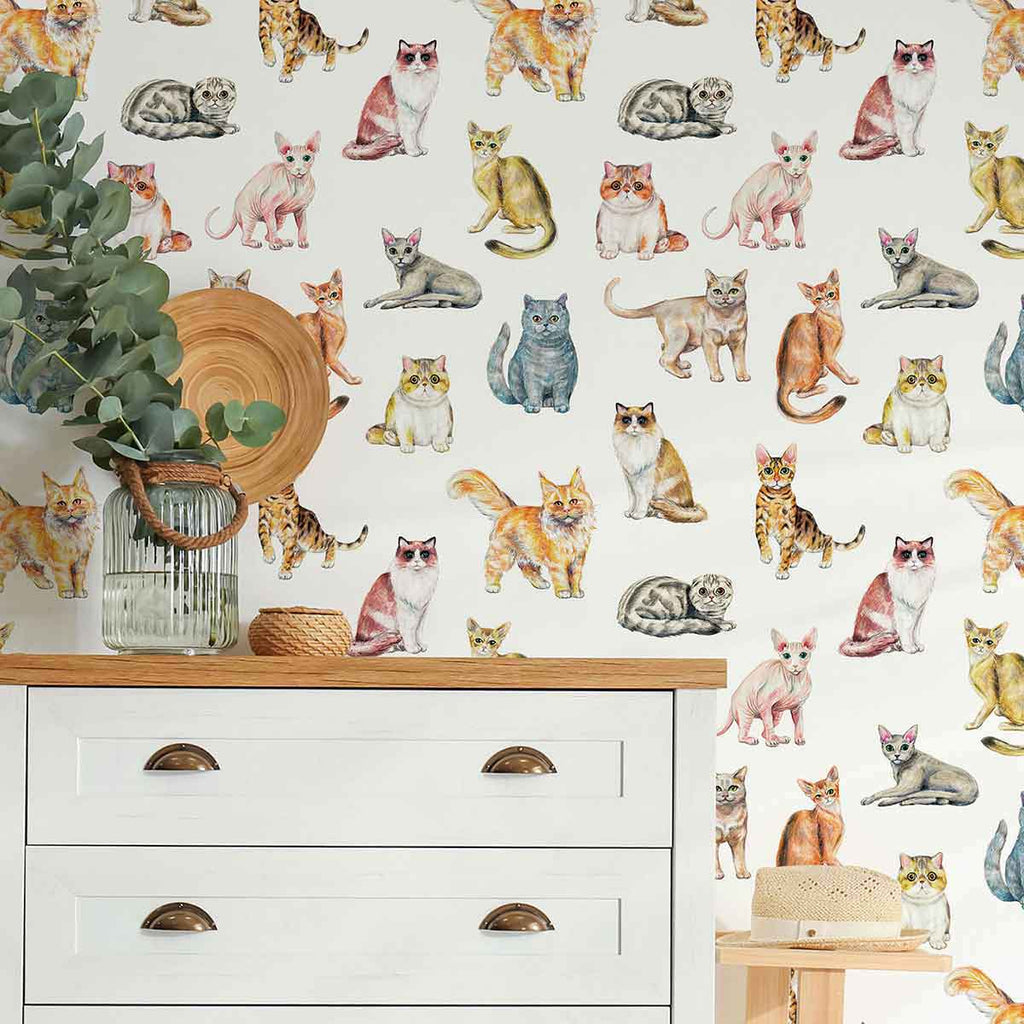 Beige Cat Peel and Stick Removable Wallpaper  Walls By Me