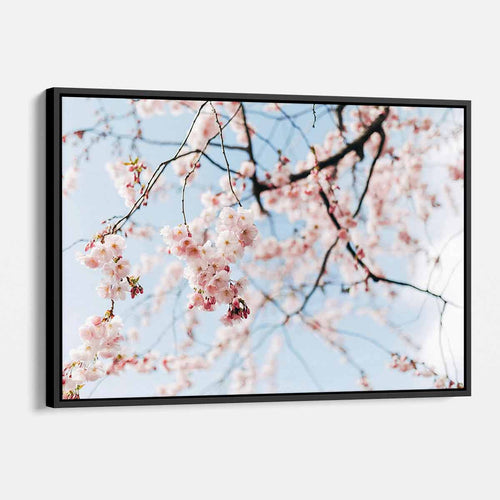 Pink Cherry Blossom Wall Art Canvas 2818