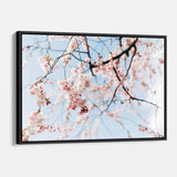 Pink Cherry Blossom Wall Art Canvas 2818