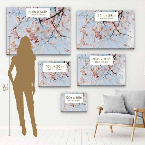 Pink Cherry Blossom Wall Art Canvas 2818