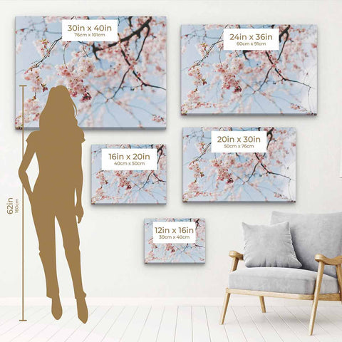 Pink Cherry Blossom Wall Art Canvas 2818
