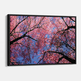 Pink Cherry Blossoms Wall Art Canvas 9367