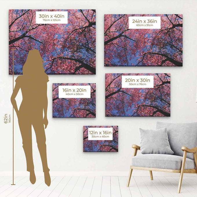 Pink Cherry Blossoms Wall Art Canvas 9367