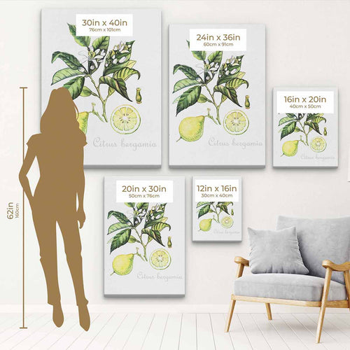 Green Citrus Wall Art Canvas 5643