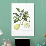 Green Citrus Wall Art Canvas 5643