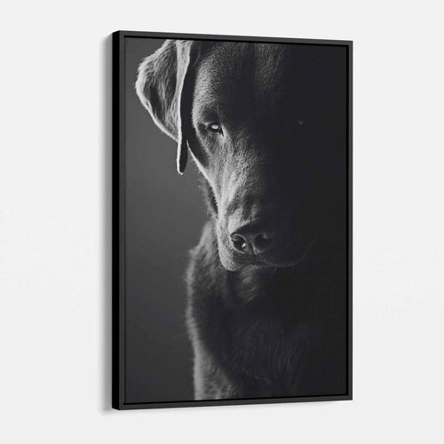 Black Dog Wall Art Canvas 2995