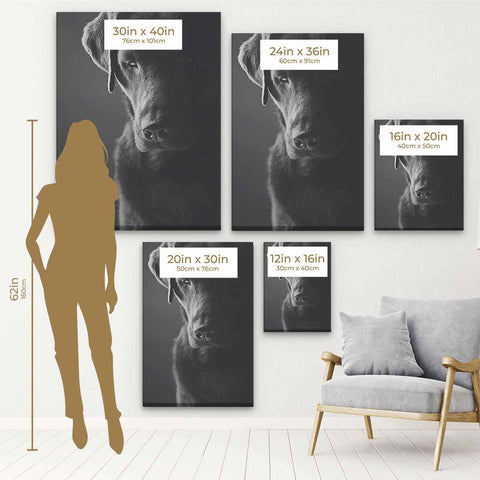 Black Dog Wall Art Canvas 2995