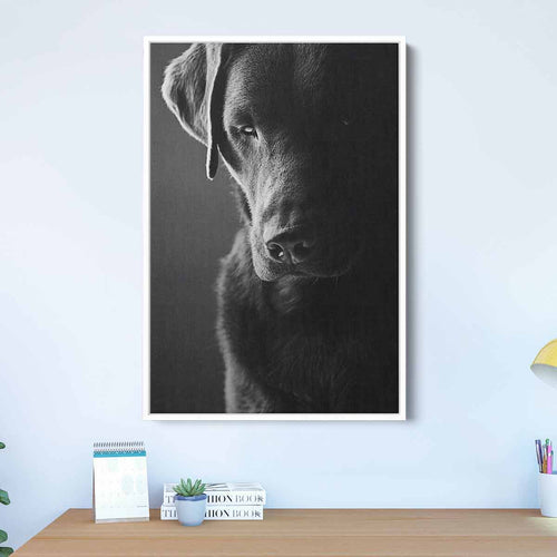 Black Dog Wall Art Canvas 2995